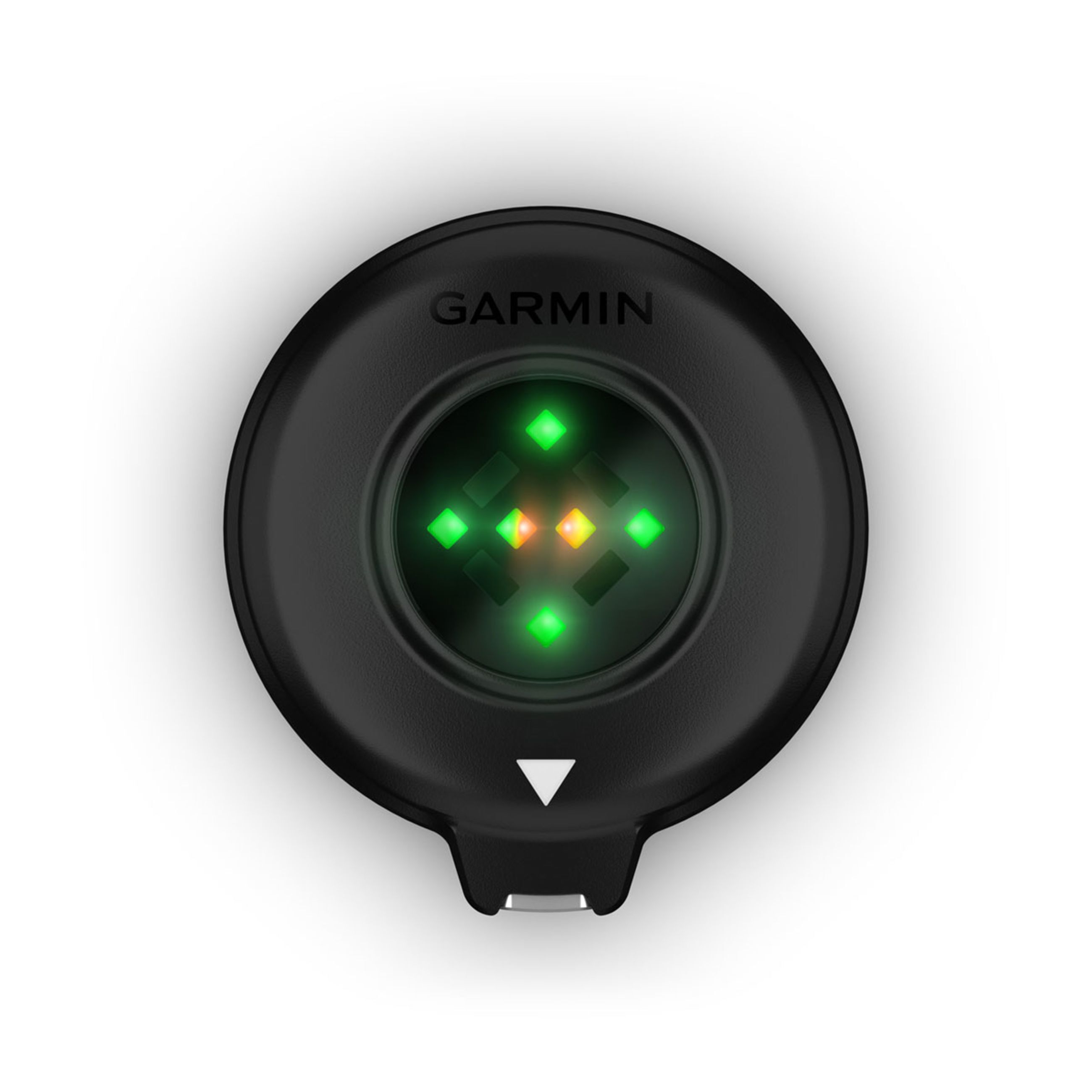 Blaze Equine Wellness System - Blaze Equine Wellness System - Image 4